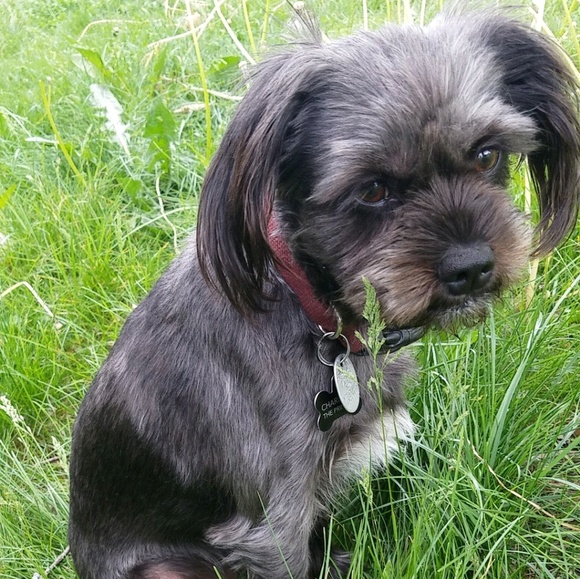 Meet your Posher, Bethany - Picture 1 of 1